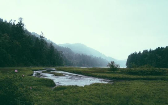 img04.jpg